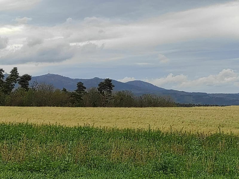 Randonnée à partir du Fayet par Combalat - Felines