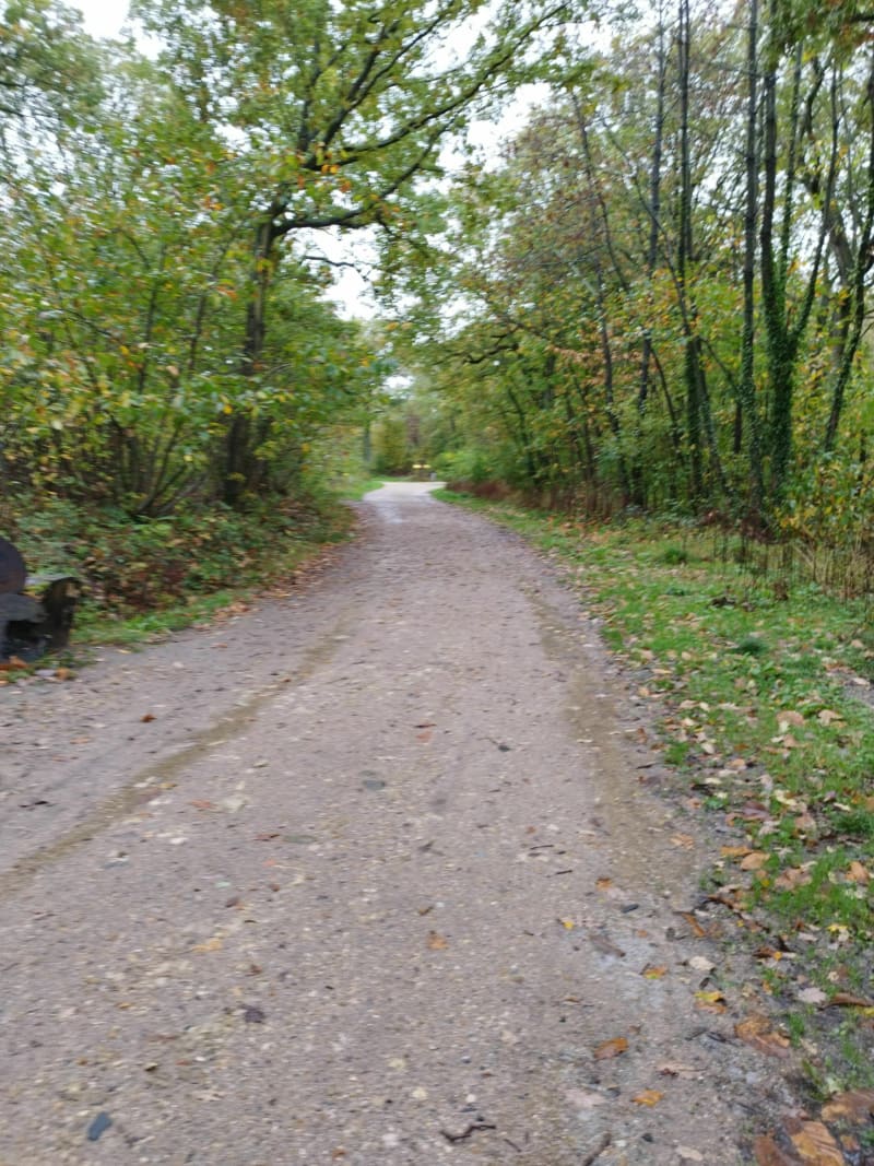 Balade en forêt et ville depuis Clamart - Clamart