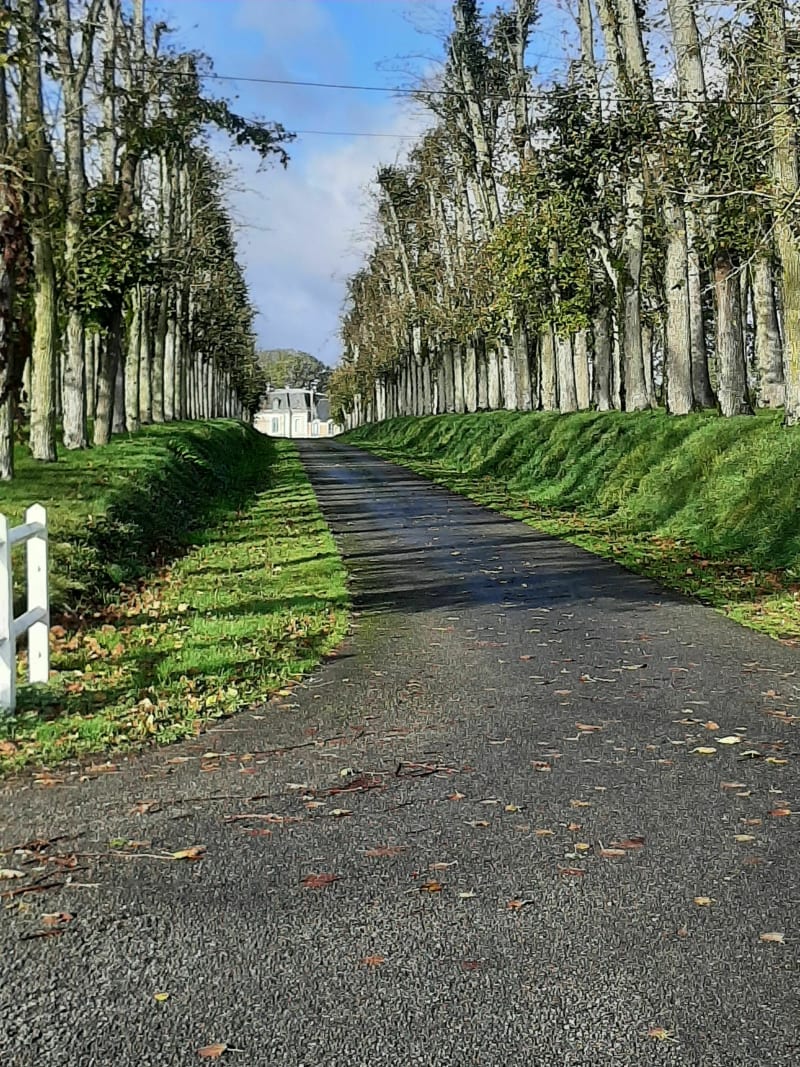 Les châteaux du Loir, de Roussainville, de d'Eguilly, de Tansonville et de Plaisance - Illiers-Combray