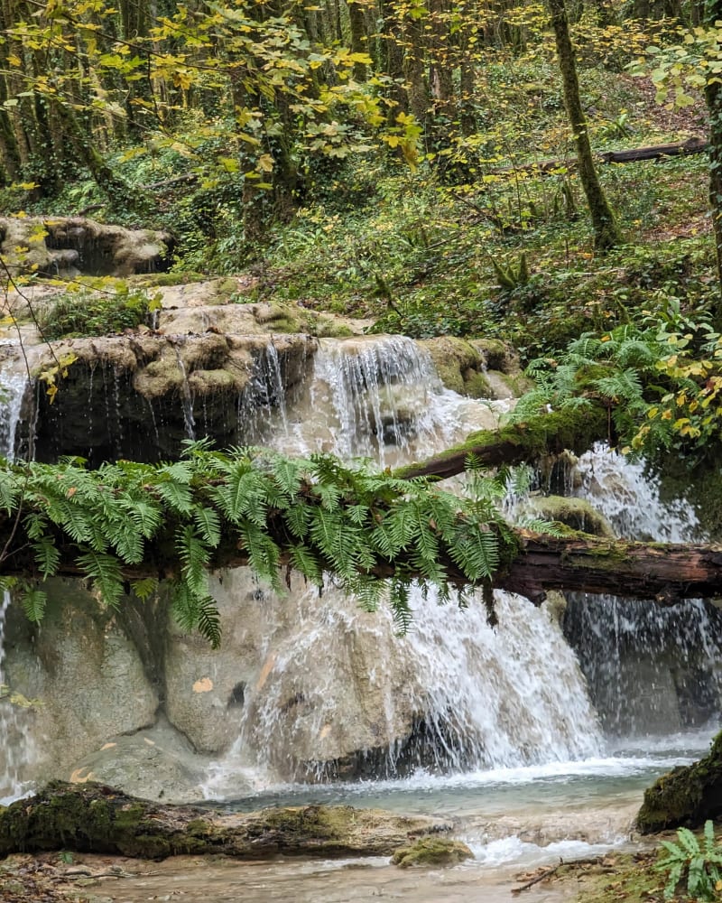 Wandel langs de Caillon-beek - Floirac