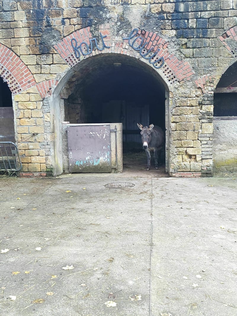 Balade des Frières en passant par Plappeville - Woippy