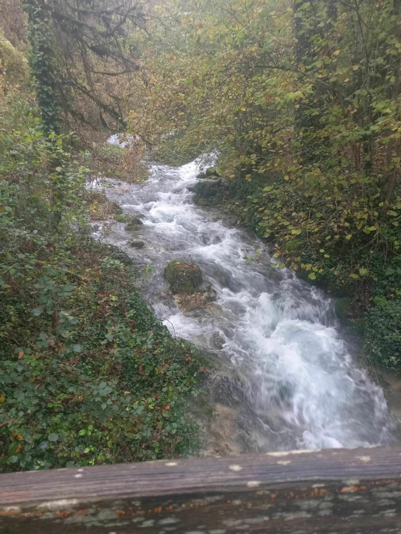 Un tour de VTT varié entre Grésigny, Darcey, Bussy - Grésigny-Sainte-Reine