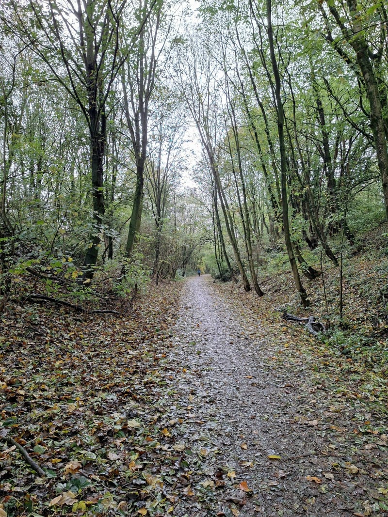 Balade dans le val de Lys - Linselles