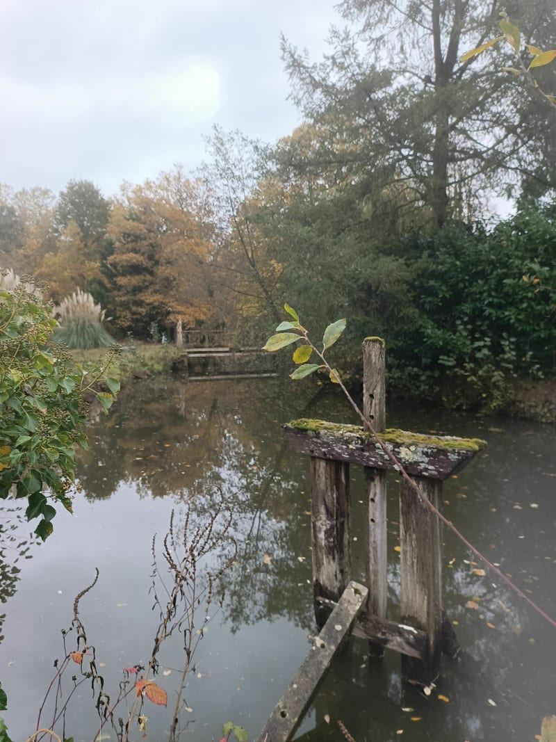 Petite randonnée à Viglain - Viglain