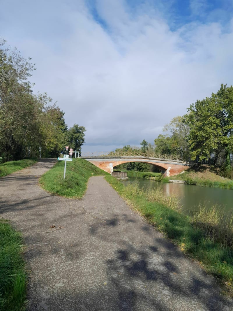 Autour de Montbartier entre forêt et canal. - Montbartier