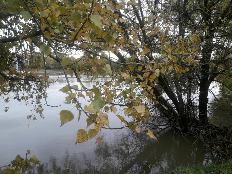 Trévoux - Saint-Bernard par Chamalan et les bords de Saône - Trévoux