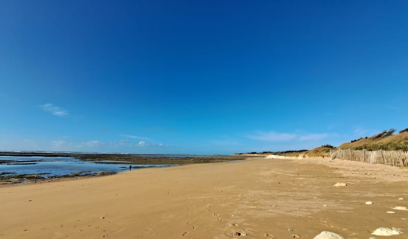 Promenade de reprise après 1 mois de mauvais temps et 5mois - Saint-Pierre-d'Oléron