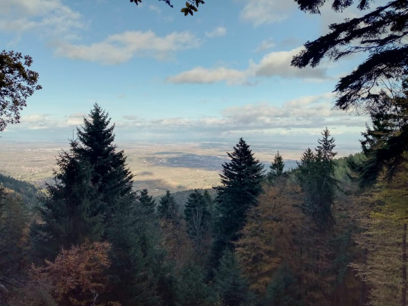 Mont St-Odile - Barr