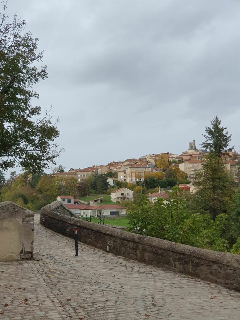 Le long de la Coise: pont des Romains, Badoit, Charpinière.. - Saint-Galmier