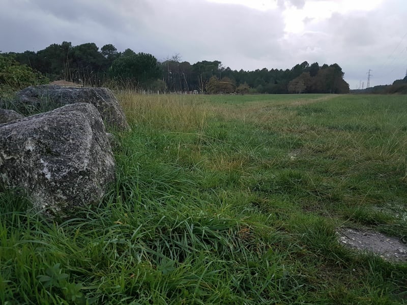 Landes et grand espace, du Peyrot par Merdache - Léognan