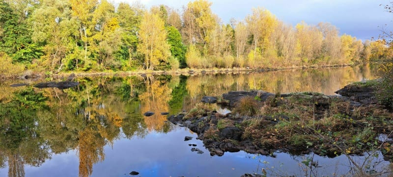 Balade sur les bords de Loire - Saint-Just-Saint-Rambert