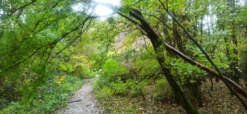 Parcours au abord du terril de Carvin - Carvin