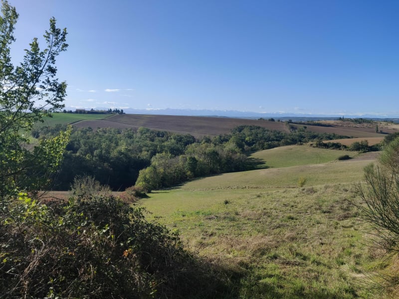 Coteaux et Ariège - Clermont-le-Fort