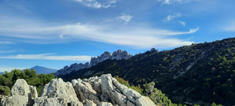 Les dentelles à Gigondas - Gigondas