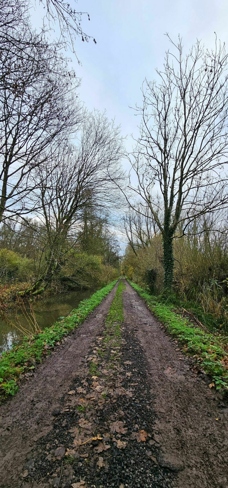 Billy Berclau, le chemin vert - Billy-Berclau