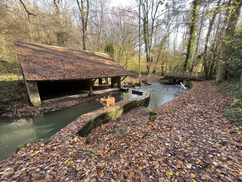 Découverte du lavoir à Mesnil-Saint-Denis - Le Mesnil-Saint-Denis