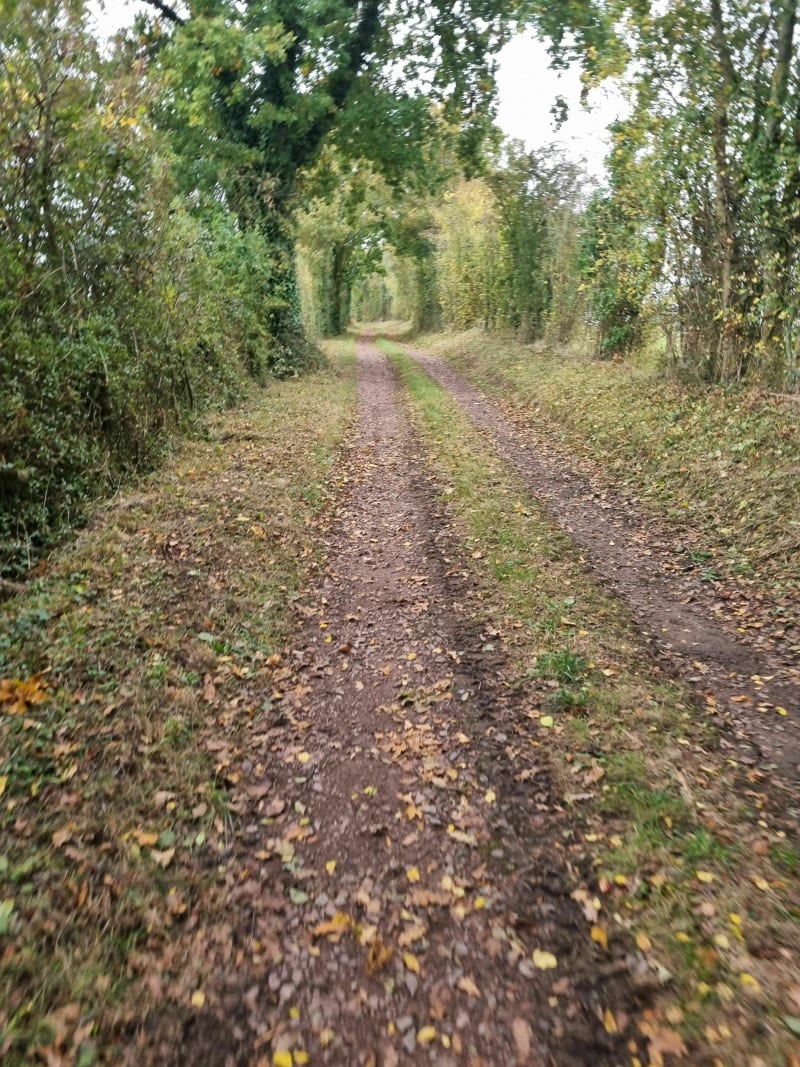 Balade du Sud d'Évrecy - Évrecy