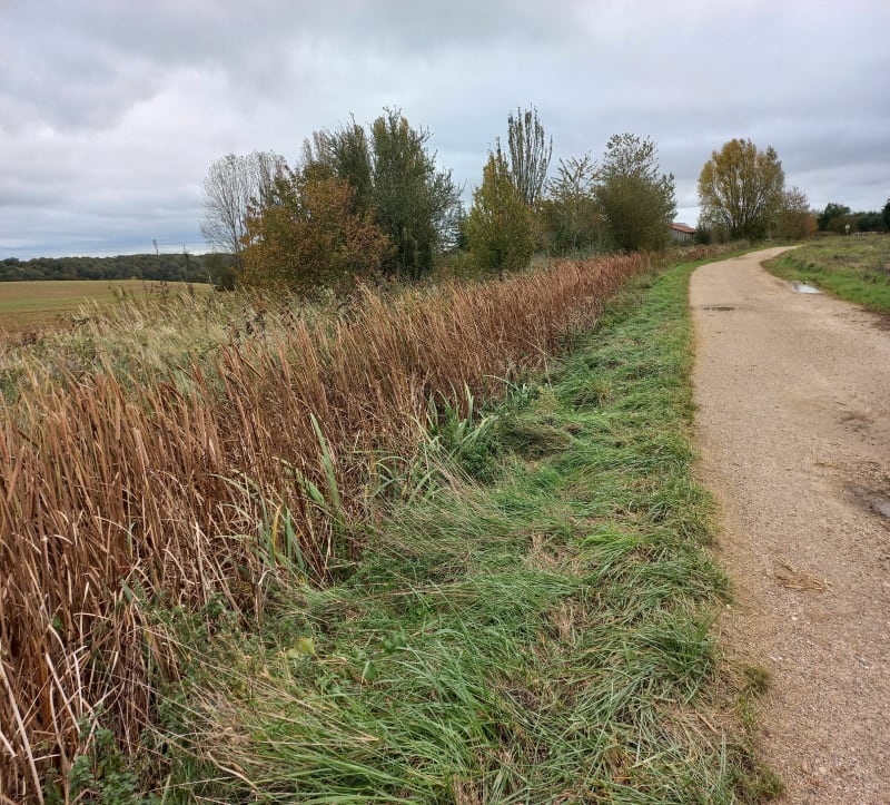 Depart de Guyancourt en passant par le plateau de Saclay - Guyancourt