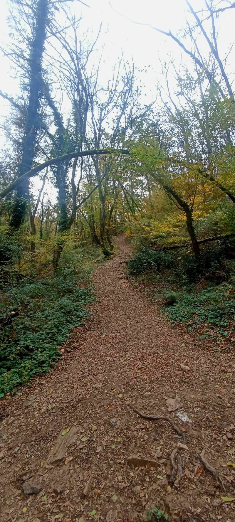 Rando Échalas, avec une belle vue - Échalas