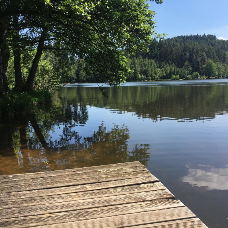 Amplepuis / Ronno (Lac des Sapins) - Ronno