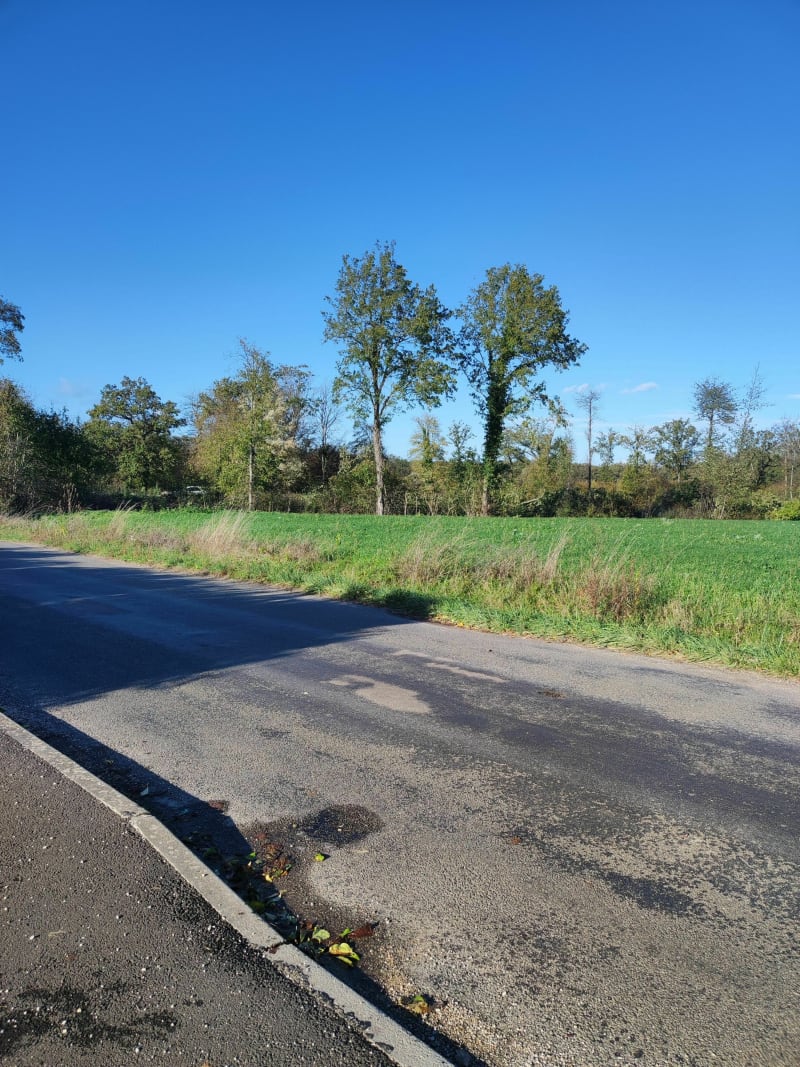 Petite balade chemin , route, voie verte vers Saint Désert - Granges