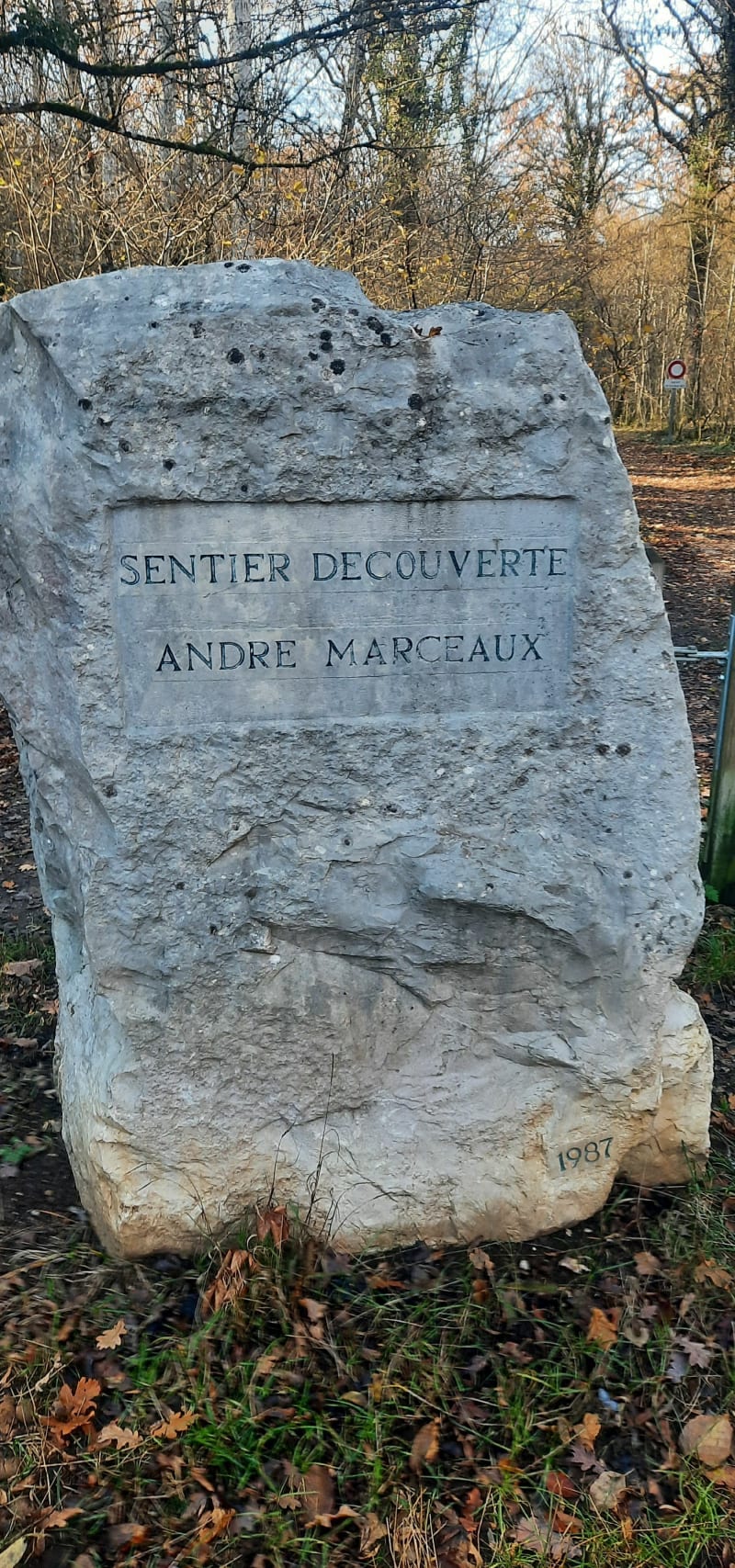 Randonnée à travers bois de Marsannay-la-Côte - Marsannay-la-Côte