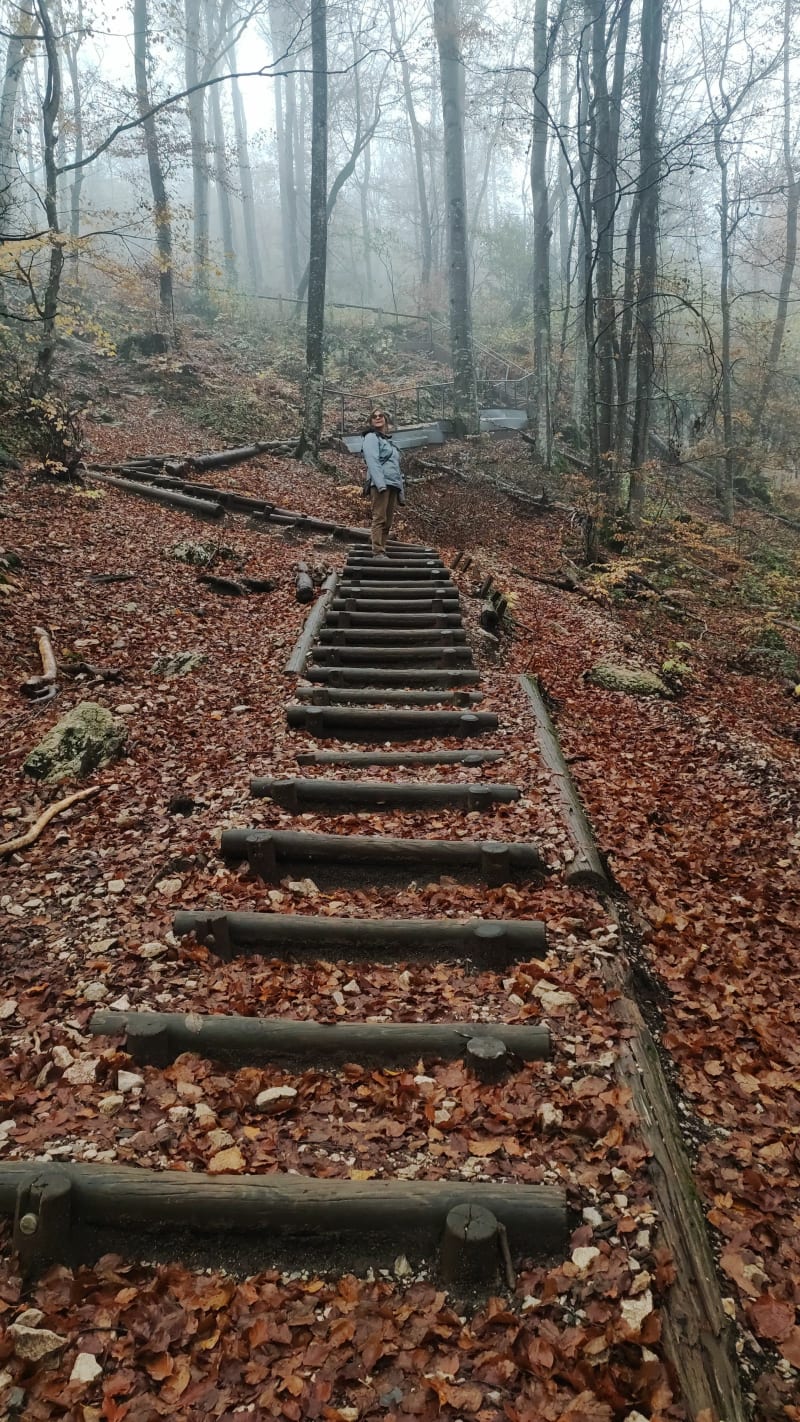 Rando pic de l'Aigle - La Chaux-du-Dombief