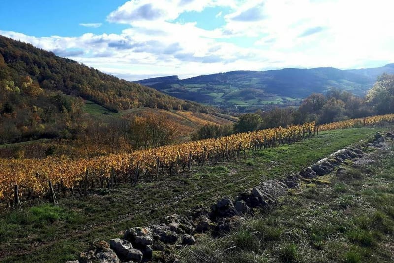 Boucle de Pierreclos vers la Roche Vineuse - Pierreclos
