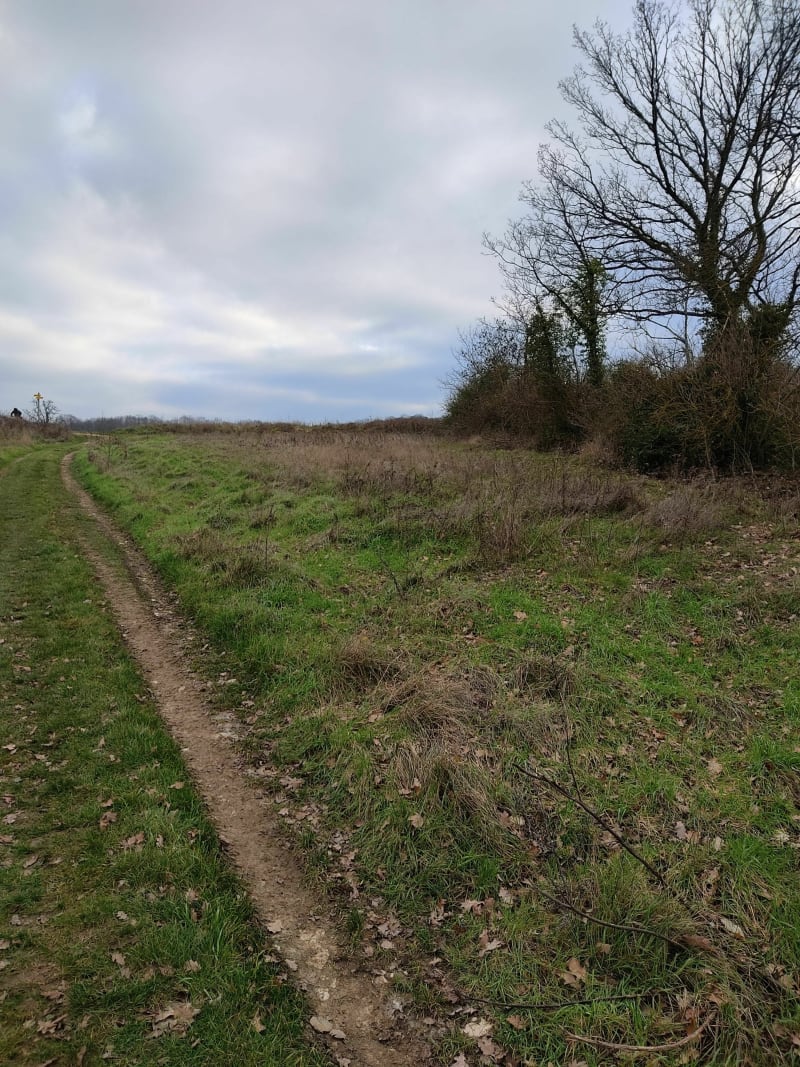 Promenade sur le plateau près de Flins sur Seine - Flins-sur-Seine