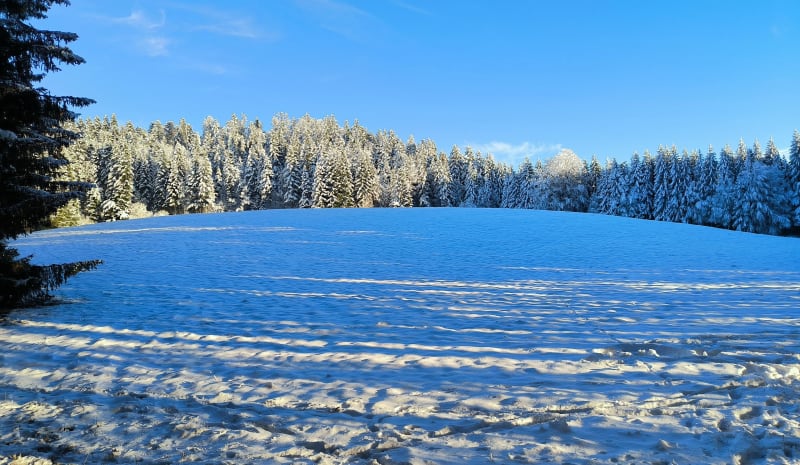 Boucle entre Groleaz et Lachat avec vue sur les combes - Haut Valromey
