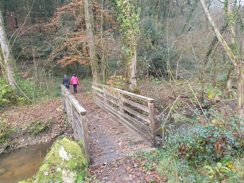 Balade technique à travers bois et rivière - Bobital