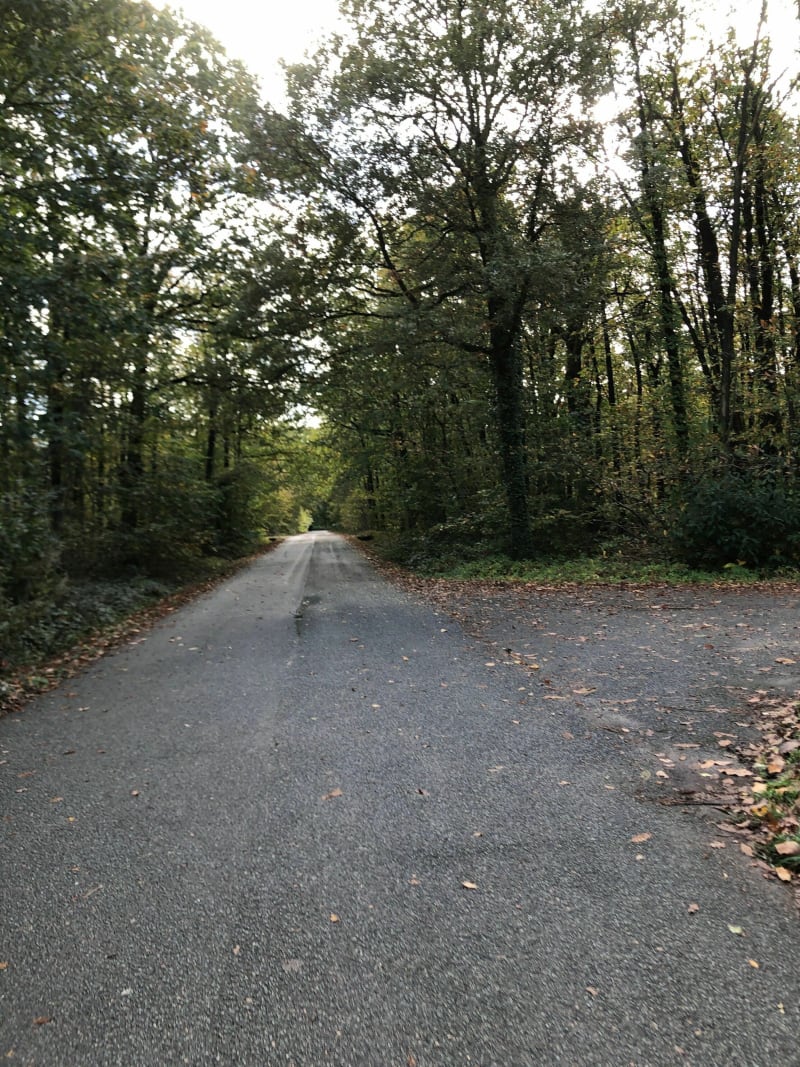 Premiers tours de roues : parcours plat et enrobé en forêt de Meudon - Clamart
