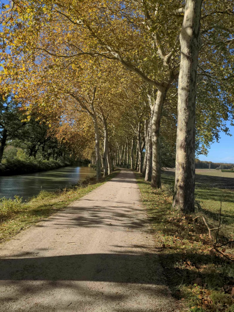 Van Baziège tot Toulouse Saint-Agne - Baziège