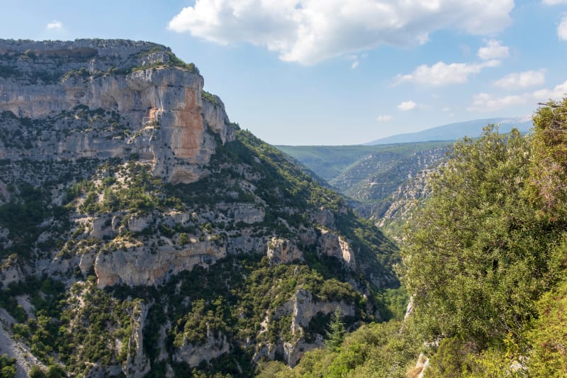 Balade au cœur des Gorges de la Nesque - Monieux