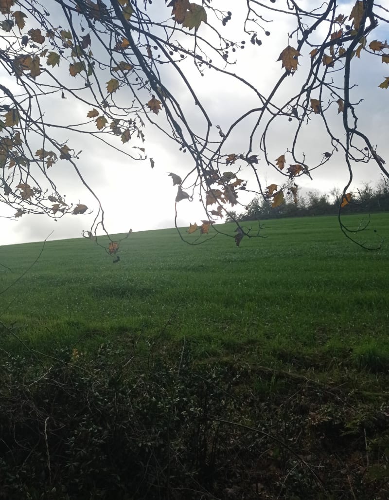 Route et un chemin depuis St-Juéry par Castelrouge - Saint-Juéry