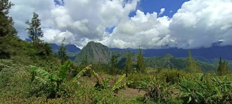 Réunion hike, gîte de Bélouve - Salazie