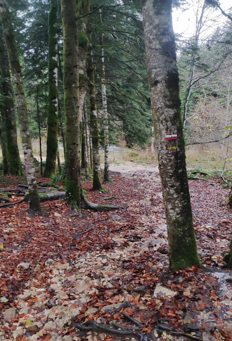 Vallée du Hérisson - Le Frasnois