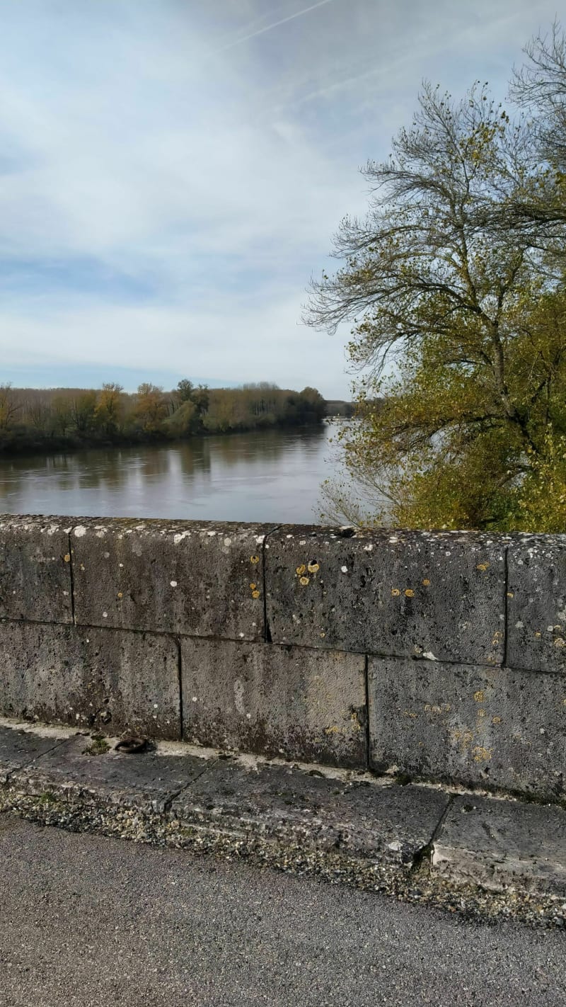 Voie Vert SO Velo - Casteljaloux à Marmande retour - Casteljaloux