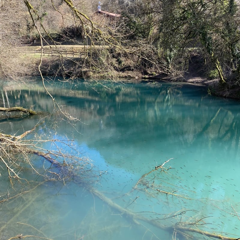 Ambérieu-en-Bugey (lac & château) - Ambérieu-en-Bugey