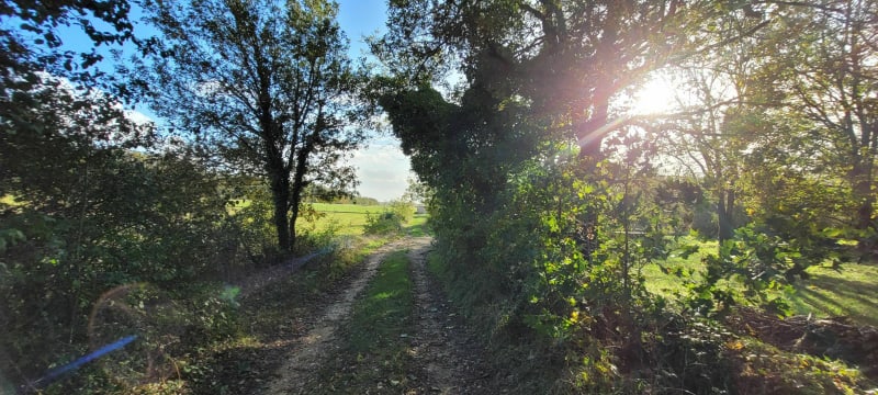 Petite couronne de Lavoux - Lavoux