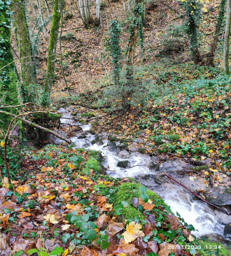 Autour du Hirtzenstein de Wintzfelden - Soultzmatt