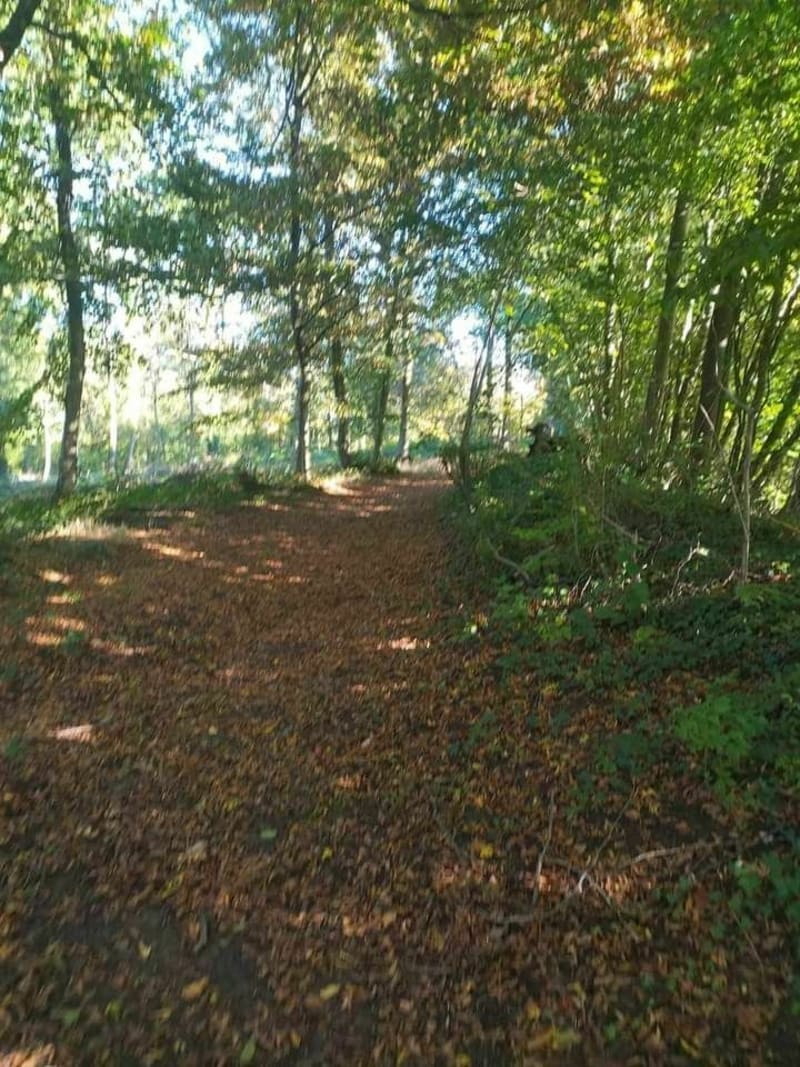 Entre route et sentiers à Desvres - Longfossé