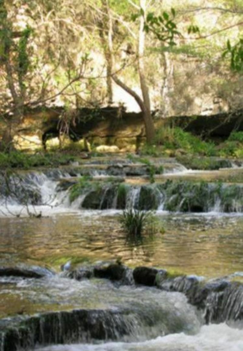 De l'île verte à la Brague - Valbonne
