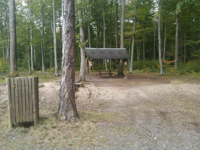 Balade en forêt des Colettes - Coutansouze