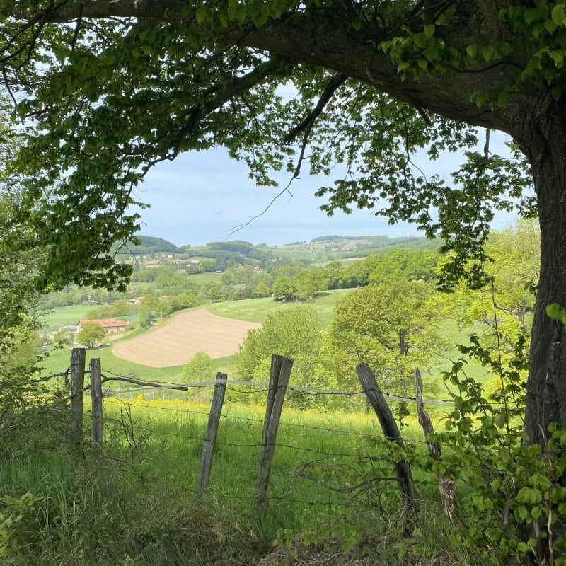 St Martin-en-Haut (Roche Mathiole) - Saint-Martin-en-Haut