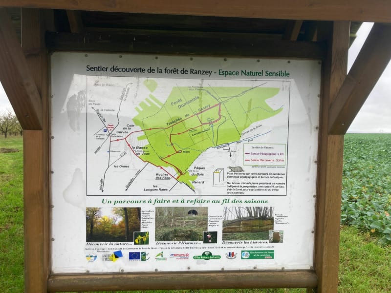 Le sentier de Ranzey - Hoéville