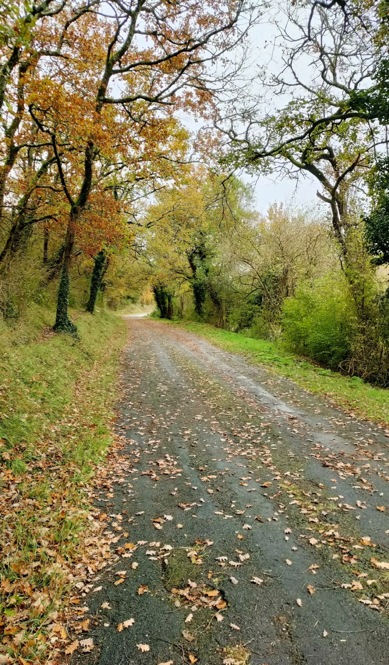 Viaduc de l'Anguienne - Soyaux