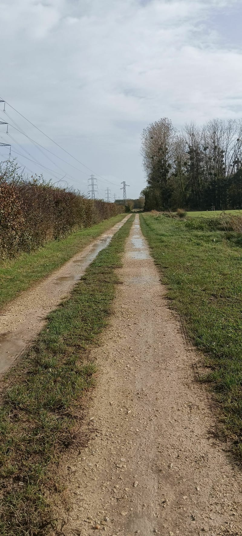 Des chemins du Véron - Beaumont-en-Véron