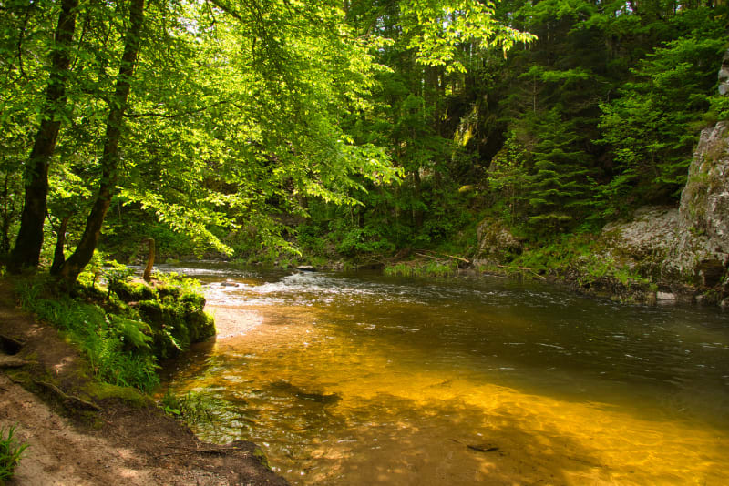 Wandeling in de Gorges de Crosery - Thiéfosse