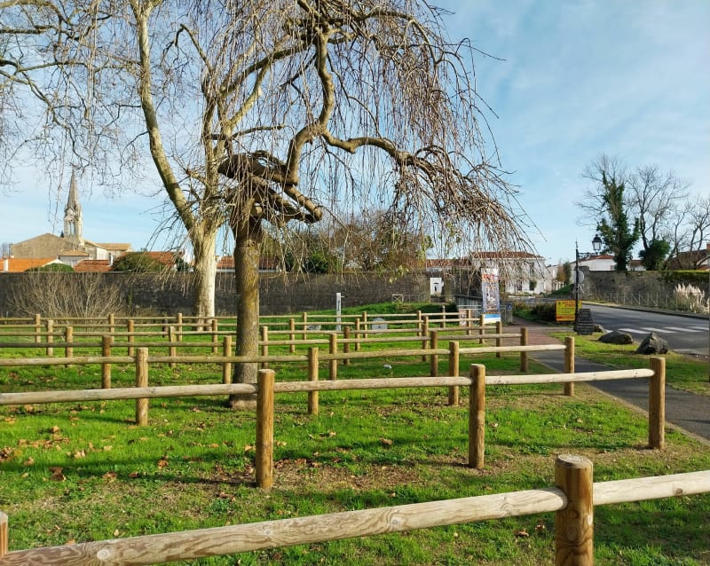 Escapade au Château-d'Oléron par la route des huîtres - Dolus-d'Oléron